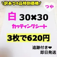 Item thumbnail for item 4b6c83fe-8c17-4be0-95dd-0b66c06c55ff