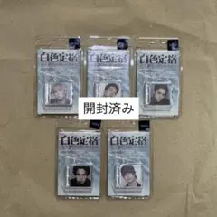 WayV 白色定格 SMini 開封済み 5種セット