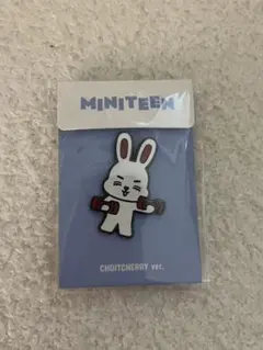 SEVENTEENセブチ ミニティーン ピンバッジ エスクプス チェチェリー