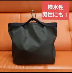 Item thumbnail for item 2e48187c-0763-46d4-9759-d50e0848e409