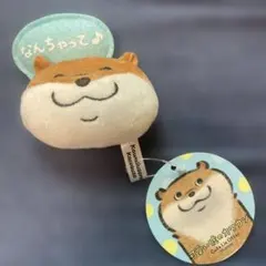 可愛い嘘のカワウソぬいぐるみマグネット