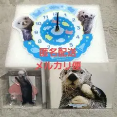 ラッコのキラちゃん　トレカ2枚セット（レア、ノーマル） 鳥羽水族館 ラッコのメイとキラ 写真集 コレカ ノーマルカード