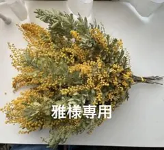 雅様専用