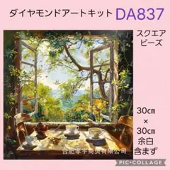 DA837★ダイヤモンドアートキット★スクエアビーズ