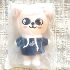 Stray Kids SKZOO MINI PuppyM ぬい