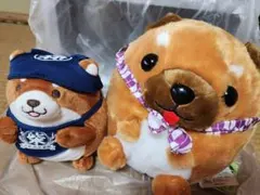 Item thumbnail for item 52595470-5402-4440-bdba-0c8797a7542b