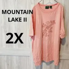 一点物✨️ MOUNTAIN LAKE II ピンク Tシャツ 2X 半袖