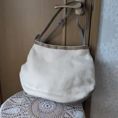 Diu キャンバス×レザー2way ショルダーバッグのサムネイル