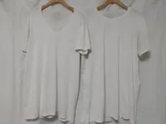 Item thumbnail for item 453cbba3-10dd-409c-b5f1-6f77a48cbeb8