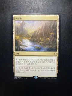 mtg 湿地の干潟 日本語 1枚 - メルカリ