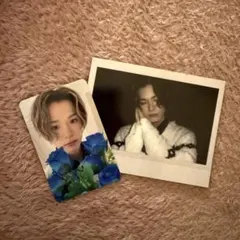 treasure Night Garden ポロライド写真 アサヒ