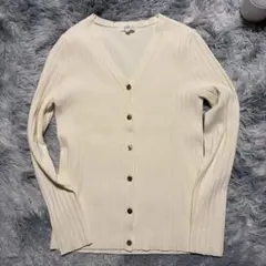 PLST アイボリー Vネックセーター Mサイズ　春ニット