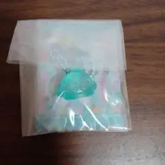 ＊Sanrio　グミチュアチャーム＊
