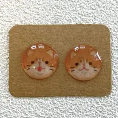 ネコ　エキゾチックショートヘア　ピアス　樹脂ピアス　ノンホールピアス　レジン
