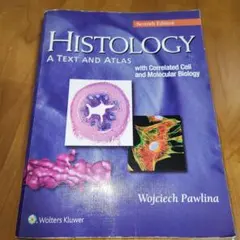 Item thumbnail for item 810fdbc5-63cc-4c7f-ba46-24d1b7445d30