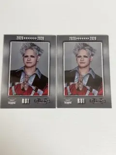 THERAMPAGE 与那嶺瑠唯 フォトカード 2点セット