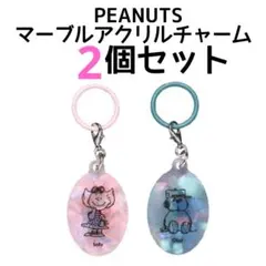 6 PEANUTS マーブルアクリルチャーム スヌーピー 2種セット
