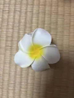 Item thumbnail for item c6ecb3f9-dc97-490d-bf19-1fe31441431c