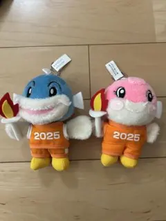 2025国スポ　SHIGA