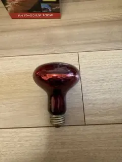 Item thumbnail for item 717e8f8b-75cc-4f8f-9e8c-25fd7e7c05f5