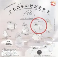 うちの子のけだまだま 猫のけだまだま　第二弾　シャムトラ