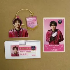 EBiDAN 超特急 ハル トレカ アクキー ネームバッジ エビライ