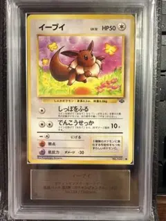 PSA9】アチャモ シャイニーコレクション - メルカリ