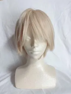 コスプレ ウィッグ 男装