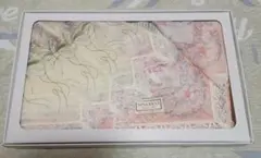 Nina Ricci ハンカチ2枚