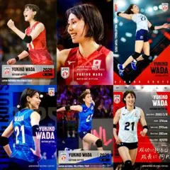 2026年最新】和田由紀子の人気アイテム - メルカリ