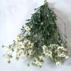 きなこ様 リクエスト 2点 まとめ商品