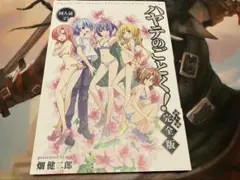 ハヤテのごとく！同人誌 完全版】はじめまして。 畑健二郎 C108 会場