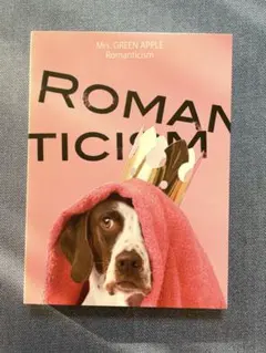 2025年最新】ロマンチシズム ミセス ドッグの人気アイテム - メルカリ