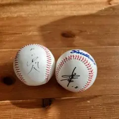 山田哲人と奥川サイン入り野球ボール2個セット