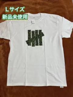 Item thumbnail for item c1d8b0fe-9040-43f0-8f44-d33cffd5d691