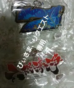 ぴぃさま、リクエスト専用とりおき　　キーホルダーセット