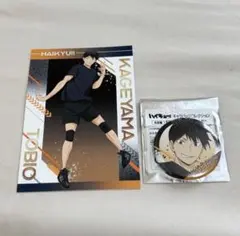 ハイキュー ユース・疑似ユース合宿フェア 缶バッジ ポストカード 影山
