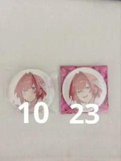 ヴィジュアルプリズン 缶バッジ アンジュ - メルカリ