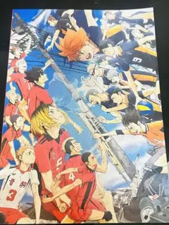ハイキュー ゴミ捨て場の決戦 映画 パンフレット