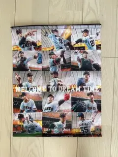 GIANTS PRIDE 2022 タペストリー