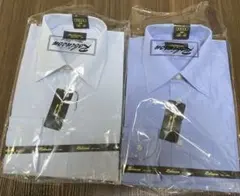 39-80 形態安定 Robinson Men'sShirtワイシャツ　2枚