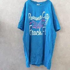 フルーツオブザルーム Tシャツ クルーネック 半袖 ロゴ ビッグサイズ 水色