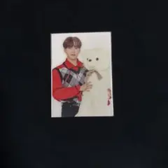 SEVENTEEN カフェ　EC トレカ　スングァン　特典