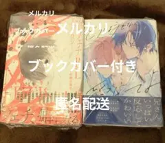 商業BL 40冊まとめ売り bl漫画 40冊セット まとめ売り - メルカリ