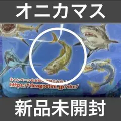 オニカマス　新品未開封 シャーク　&co デアゴスティーニ　アンドコ