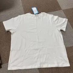 Item thumbnail for item 6bb7a94a-e345-469a-a5e0-3411415f622a