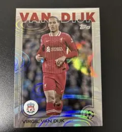 【正規品】ファンダイク 18-19シーズン PL フルパッチ 正規品】ファンダイク 18-19シーズン PL フルパッチ 正規品