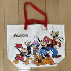 香港ディズニーランド ミッキーフレンズ ショッピングバッグ
