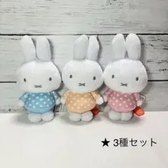 ミッフィー☘️ぬいぐるみマスコット　みずたまVer. Ｂ　キャラクターグッズのサムネイル