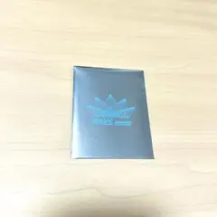 即購入禁止！　SnowMan RAYS ライブ チケット風カード 渡辺翔太